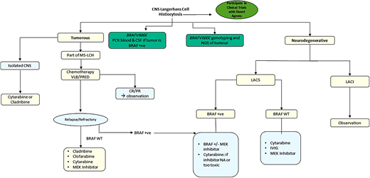 Algorithm for the management of CNS-LCH.