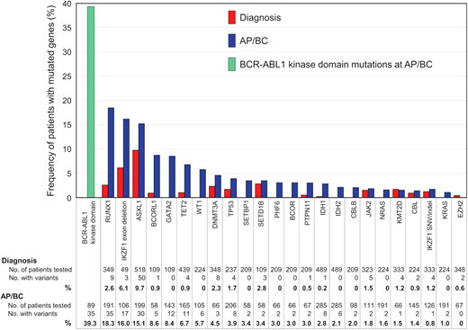 Frequency of mutated cancer genes at diagnosis and AP/BP. The data from 15 studies of patients at diagnosis and 20 studies at AP/BP are reported where cancer genes were mutated in more than 1 patient at diagnosis and/or BP. Only genes listed in the COSMIC Cancer Gene Census are included. Adapted from Branford et al. with permission.2