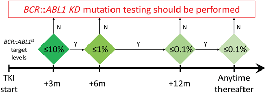 Molecular response milestones to be achieved and maintained in first- and second-line TKI therapy for optimal response to be defined according to the ELN. BCR::ABL1 KD mutation testing may provide useful information if such milestones are missed. KD, kinase domain; m, months; TKI, tyrosine kinase inhibitor.