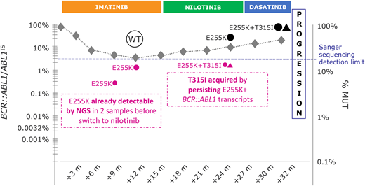 Graphical summary of the clinical case herein presented. m, month(s); % MUT, percentage of mutant; NGS, next-generation sequencing; WT, wild type.