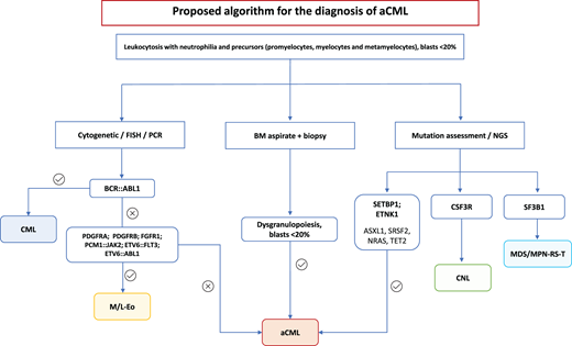 Algorithm proposed for the diagnosis of aCML. FISH, fluorescence in situ hybridization; MDS/MPN-RS-T, myelodysplastic/ myeloproliferative neoplasms with ring sideroblasts and thrombocytosis; M/L-Eo, myeloid/lymphoid neoplasms with eosinophilia; NGS, next-generation sequencing; PCR, polymerase chain reaction.