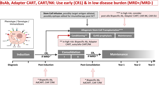Mode of action of the different immunotherapy platforms in AML. BsAb, bispecific antibody.