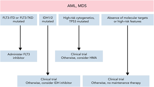 Approach to maintenance therapy for AML and MDS after HCT. Adapted from DeFilipp and Chen.6
