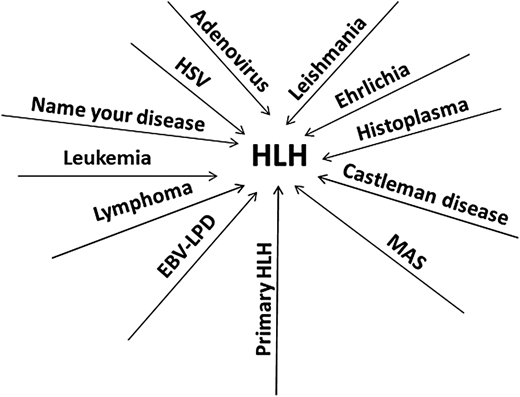 Many diseases can manifest clinical features of HLH. Depicted are the diseases we have seen as mistaken for and treated as primary HLH, akin to the many proverbial roads leading to Rome. HSV, herpes simplex virus.