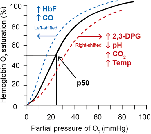 Factors influencing the hemoglobin oxygen dissociation curve.