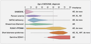 Age-dependent presentation of myeloid malignancy in inherited bone marrow failure and MDS predisposition syndromes. A schematic demonstrating the typical and peak ages of myeloid malignancy diagnosis in individuals with inherited bone marrow failure and MDS predisposition syndromes. There is an age-dependent onset depending on the underlying genetic cause that informs approaches to surveillance and patient counseling. Schema is based on a comprehensive review of myelodysplastic syndrome (MDS) and/or acute myeloid leukemia (AML) cases reported in the literature in individuals with confirmed germline predisposition. The reported incidence of MDS/AML in these disorders is impacted by rates of hematopoietic stem cell transplant for bone marrow failure and other competing risks, such as pulmonary fibrosis in the short telomere syndromes which accounts for the drop off of MDS/AML diagnosed in older ages. Horizontal lines demonstrate the published age range where there are isolated cases at those age extremes. Queried publications are referenced in reference 13 in addition to references 23, 51, and 72 and PubMed IDs 32088370, 30578959, and 34469508. *Autosomal recessive inheritance is rarely found in the short telomere syndromes (<5%) and more often manifests as aplastic anemia with few reports of MDS/AML in these individuals. AD, autosomal dominant; AR, autosomal recessive; XL, X-linked.