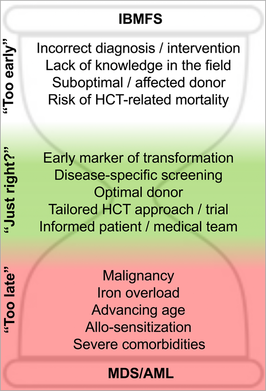 Determinants of optimal HCT timing in IBMFS.