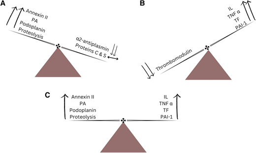 The dynamic interplay between the procoagulant and anticoagulant agents/mechanisms resulting in (A) hemorrhage, (B) thrombosis, and (C) concomitant hemorrhage and thrombosis. IL, interleukin; PAI-1, plasminogen activator inhibitor 1; TF, tissue factor; TNFα, tumor necrosis factor α.