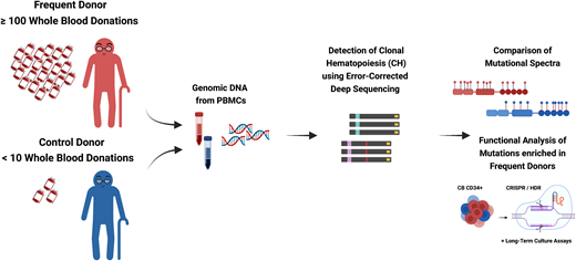 Effects of large-volume phlebotomy on clonal hematopoiesis. Study setup and analysis performed in blood donors. CRISPR, clustered regularly interspaced short palindromic repeats; HDR, homology directed repair; PBMC, peripheral blood mononuclear cells. Figure created using BioRender.32