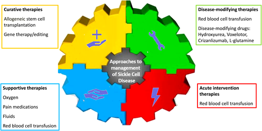 Approaches to the management of SCD. Of the disease-modifying therapies, 4 drugs, hydroxyurea, L-glutamine, crizanlizumab, and voxelotor, are currently approved by the FDA. In the absence of long-term data, gene therapy and gene editing are referred to as “potentially curative therapies.”