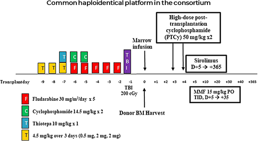 Conditioning schema for haploidentical BMT with thiotepa and PTCy used in the Vanderbilt Global Haploidentical Transplant Consortium.