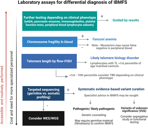 Approach to specialized work up of confirmed BMF. Specialized assays can be used for diagnosis of the IBMFS. Chromosome breakage studies for FA are performed by exposing cultured cells (usually peripheral blood lymphocytes) to diepoxybutane (DEB), a DNA cross-linking agents, and seeing how much chromosomal breakage is induced at a concentration of DEB that has little effect on normal cells.42 Testing can be misleading or inconclusive for 2 reasons: 1) somatic reversion in the hematopoietic cells causes a false negative (this can be overcome by testing skin fibroblasts if you have a high clinical suspicion and negative peripheral blood DEB) or 2) recent chemotherapy administration (increase in baseline breakage). Telomere length is assessed in peripheral blood lymphocytes using flow-FISH and reported as a percentile for age. TL in lymphocytes <1st percentile is very sensitive and specific for TBD, ≥1st but <10th percentile is suggestive of possible TBD in the right clinical context, and ≥10th percentile is very unlikely to be TBD.43 High erythroid adenosine deaminase (eADA) enzyme activity levels are found in cases of DBA. Targeted sequencing can identify both germline and somatic variants when peripheral blood is used; to confirm germline status, sequencing of a germline control tissue such as fibroblasts (skin biopsy) or testing of family members should be sought. Interpretation of genetic reports, particularly when VUS is reported, is challenging, and specialist input may be required. Testing for primary immunodeficiency syndromes is pursued when there is a clinical history suggestive of recurrent and/or atypical infections, autoimmunity, or presence of severe lymphopenia. Lymphocyte subsets and serum immunoglobulins are useful in this setting. FISH, fluorescence in situ hybridization; TBD, telomere biology disorder; WES, whole exome sequencing; WGS, whole genome sequencing.