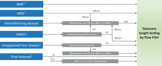When to consider telomere length measurements in adults. *Includes unexplained, persistent cytopenia, aplastic anemia. †Consider chromosome breakage testing to exclude Fanconi anemia. ‡Includes liver cirrhosis, fibrosis, hepatopulmonary syndrome, idiopathic portal hypertension. §Mucocutaneous triad consisting of leukoplakia, reticular skin pigmentation, and nail dysplasia. FH, family history; HPV, human papilloma virus.