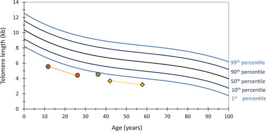Telomere lengths in cases 1 and 2. Depicted are lymphocyte telomere length by fluorescent in situ hybridization and flow cytometry (flow FISH) of 3 patients with TERC-associated TBD. The green circle shows lymphocyte telomere length of a 36-year-old male with liver disease and bone marrow failure (case 1). Yellow diamonds indicate 2 lymphocyte TL taken over time in a female patient with pulmonary fibrosis and bone marrow failure (case 2). Orange circles show lymphocyte TL of the child of patient 2 who presented with thrombocytopenia and dysplastic fingernails and was found to carry the same TERC variant as their mother.