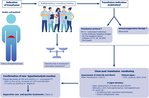 Decision making process for the indication of transfusion in a patient with history of hyperhemolysis. A patient with history of posttransfusion hyperhemolysis is at risk for recurrence of the syndrome, with or without detectable antibodies. When a transfusion is indicated, a shared decision-making process assesses the risk/benefit of transfusion, and if maintained, establishes the transfusion protocols in terms of RBC antigen matching and the use of immunosuppressive therapy. Close monitoring of the posttransfusion phase is absolutely necessary, and assessment of total Hb and HbA% immediately after transfusion will help diagnose posttransfusion hyperhemolysis with new assessment of these parameters. If clinical signs appear, evaluation of hemolytic biological parameters and an IH workup are performed. A negative IH workup does not rule out the diagnosis. After confirmation of hyperhemolysis, supportive care and specific treatments are considered. Hb, hemoglobin; IH, immunohematology; LDH, lactate dehydrogenase; RBC, red blood cell; VOC, vaso-occlusive crisis.