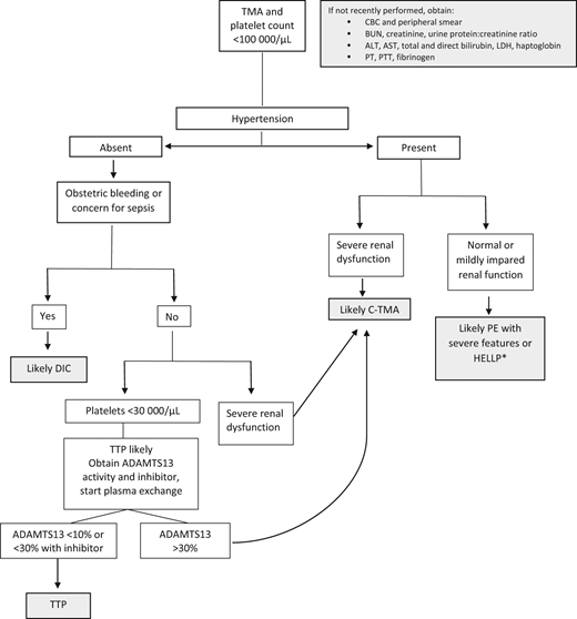Algorithm for clinical evaluation of microangiopathy in pregnancy. ADAMTS13; BUN, blood urea nitrogen; CBC, complete blood count; C-TMA, complement-mediated thrombotic microangiopathy; LDH, lactate dehydrogenase; PE, preeclampsia; PT, prothrombin time; PTT, activated partial thromboplastin time; TMA, thrombotic microangiopathy. *Occasionally severe renal failure occurs with HELLP, but the recovery is typically more rapid than in C-TMA.