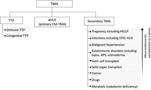Practical approach to the differential diagnosis of TMA. The initial differential diagnosis of a TMA focuses on differentiating TTP from aHUS, also termed primary complement-mediated TMA, from the multiple causes of secondary TMA since this will impact initial treatment. There is evidence the complement acts as a driver for some secondary TMAs (with and without complement mutations), and complement inhibition may be a useful therapeutic strategy if control of the underlying disorder does not lead to improvement in the TMA and renal function. CM-TMA, complement-mediated TMA.
