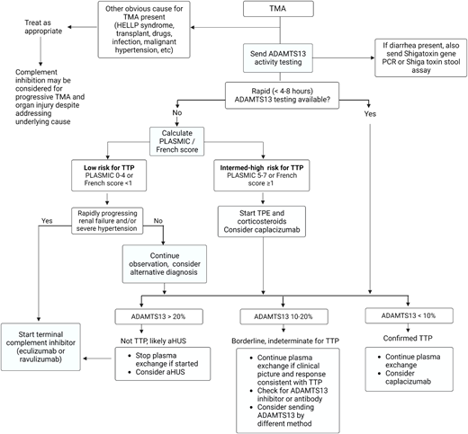 Approach to the initial evaluation and management of a patient with TMA. Early evaluation is focused on distinguishing iTTP or aHUS from secondary TMAs and minimizing delays in treating iTTP that is imminently life-threatening. The diagnostic pathway varied based on the availability of rapid-turnaround ADAMTS13 assays. PCR, polymerase chain reaction.