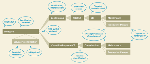 Open questions in intensive AML treatment.
