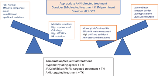 Considerations in the treatment of patients with SM-AHN. BM, bone marrow; FBC, full blood count; HR, high risk; MPN, myeloproliferative neoplasms. Reproduced with permission from Radia DH, Moonim MT. Update on diagnostic approaches and therapeutic strategies in systemic mastocytosis. Best Pract Res Clin Haematol. 2022;35(2):101380. doi:10.1016/j.beha.2022.101380.