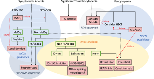 Treatment algorithm for lower-risk MDS—IPSS-R ≤3.5. CSA, cyclosporine; EMA, European Medicines Agency; FDA, Food and Drug Administration; m, mutated; NCCN, National Comprehensive Cancer Network; TPO, thrombopoietin.19