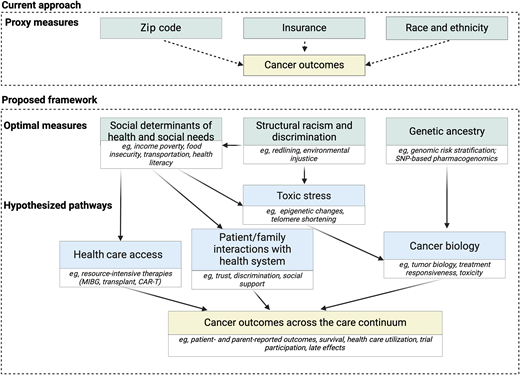 Proposed framework to measure drivers of disparities. CAR-T, chimeric antigen receptor T-cell therapy; MIBG, iodine meta- iodobenzylguanidine therapy; SNP, single nucleotide polymorphism.
