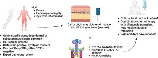 Primary cutaneous gamma/delta T-cell lymphoma. Patients often present with generalized subcutaneous lesions, often with an inflammatory syndrome. Mutations in the JAK/STAT pathway are common. Created in BioRender. Stuver, R (2024). https://BioRender.com/r56g274.