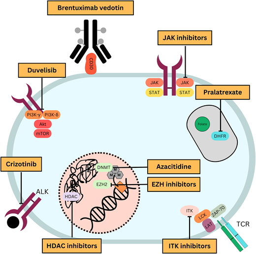Mechanisms of action of commonly used novel agents for treatment of PTCLs.
