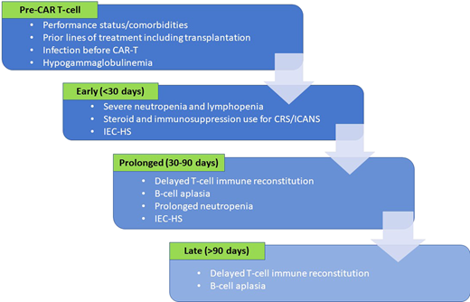 Risk factors for infections in the various time frames following CAR T-cell infusion.