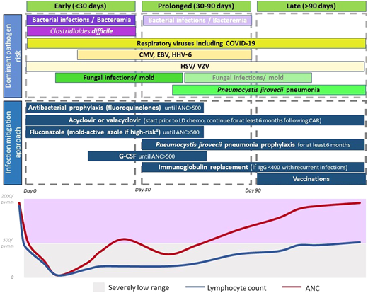 Dominant pathogen risk over the post-CAR-T timeline. *Fading boxes for the same pathogen over time suggest a lower risk of the pathogen in that time frame. **If a pathogen is not included in a time frame, it suggests that the risk is lower (not absent). Clinical consideration should be made as appropriate. #High-risk factors considered for invasive mold infection include prolonged severe neutropenia, recent BMT, prolonged use of steroids, and use of BTK inhibitors.