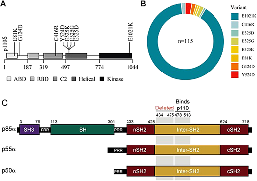 (A–B) (modified from Maccari et al44): overview of PIK3CD disease-causing variants in the ESID registry patients and their variant distribution. (C) PIK3R1 variant (modified from Lucas et al39) shows affected APDS2 patients are heterozygous for a PIK3R1 splice-site mutation that causes an in-frame deletion of exon 11. Protein schematic for p85α, p55α, and p50α isoforms of PIK3R1 indicating amino acid residue numbers (top), structural domains, region deleted by the patient splice mutation, and the p110-binding region. BH, breakpoint cluster region homology; nSH2 and cSH2, N-terminal and C-terminal Src homology 2; PRR, proline-rich region; SH3, Src homology 3.