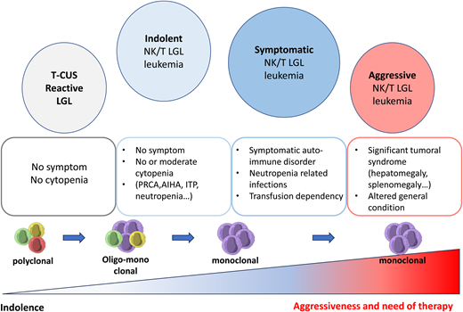 Spectrum of LGL expansion ranging from reactive LGL to an aggressive form of LGL leukemia. AIHA, auto-immune hemolytic anemia; ITP, immune thrombocytopenia; T-CUS, T-cell clones of uncertain significance.
