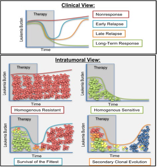 Clonal dynamics and therapeutic response. While we can see 4 general types of response to therapy in the clinic (top panel, nonresponse, early relapse, late relapse, and long-term response), the hypothesized underlying intratumoral views (bottom panel) of these scenarios could have significant implications for therapy. If the response of patients to therapeutic intervention is either a long-term response or complete nonresponse, we hypothesize that the underlying genetic diversity is minimal, with clones either homogenously sensitive or homogenously resistant to therapy. Those that initially respond to therapy but relapse early or late after therapy is completed could be examples of either selection for the fittest existing clone (early relapsers, survival of the fittest) or the emergence of new clones generated during (or by) therapy that over time cause another outgrowth of the tumor (late relapsers, secondary clonal evolution). To distinguish which of the evolutionary pressures (resistance, sensitivity, survival of the fittest, or secondary clonal evolution) apply to each clinical manifestation requires additional tools suitable for clinical monitoring of clonal diversity and clonal identities. (Figure by Dr. Amy Paguirigan).