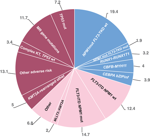 Frequency of molecular and therapeutic subgroups based on the ELN 2022 classification modified from Rausch et al,2who reported frequencies of ELN 2022 subgroups from an intensively treated AML cohort (n = 1118) with a median age of 58 years (range, 18-86 years).2 mut, mutated; wt, wild type.