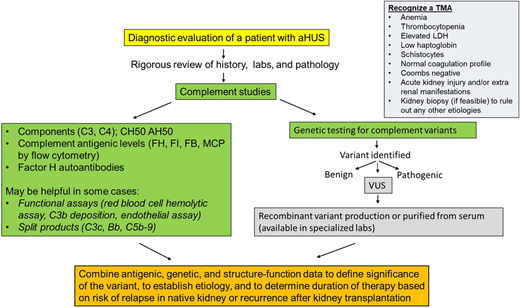Diagnostic algorithm with recommended complement testing and steps to define clinical significance of genetic variants in a patient with atypical hemolytic uremic syndrome (aHUS). AH50, alternative pathway activity; CH50, total hemolytic activity; FB, factor B; FH, factor H; FI, factor I; LDH, lactate dehydrogenase; MCP, membrane cofactor protein; VUS, variant of uncertain significance.
