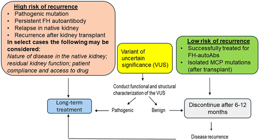 Recommended duration of treatment of aHUS based on risk stratification. FH, factor H; MCP, membrane cofactor protein.