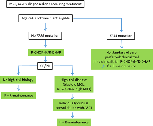 Recommended treatment algorithm for transplant-eligible patients.