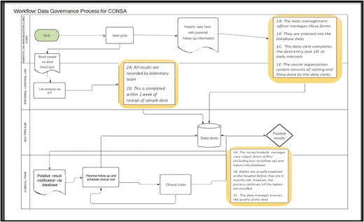 CONSA data workflow at each consortium site.