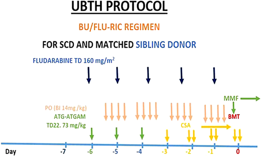 Protocol for sibling-matched HSCT for SCA at the University of Benin Teaching Hospital (UBTH), Nigeria. ATG-ATGAM, antithymocyte globulin; BMT, bone marrow transplant; BU, busulfan; CSA, cyclosporine; FLU, fludarabine; RIC, reduced- intensity conditioning; TD, total dose.