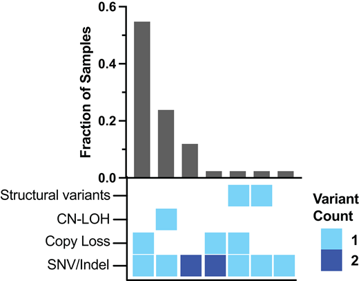 Loss of the remaining wild-type TP53 allele is a common event in TP53-mutant AML/MDS. Shown are the identified mechanisms for loss of this allele in 42 cases of AML/MDS. SNV, single-nucleotide variant. Adapted from Abel et al5 with permission.