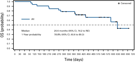 Kaplan-Meier survival with maintenance eprenetapopt post transplant. NE, not evaluable. Adapted with permission from Mishra et al.29