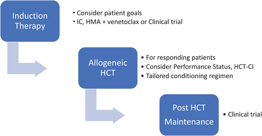 Comprehensive approach to TP53 myeloid disease. HCT-CI, HCT-comorbidity index.