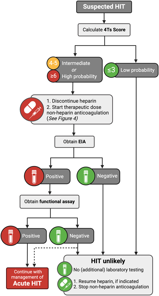 Algorithm for the diagnosis of HIT. Adapted with permission from May et al38 and Cuker et al.4