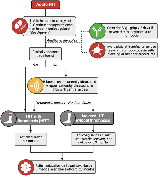 Algorithm for the management of HIT. IVIg, intravenous immunoglobulin.