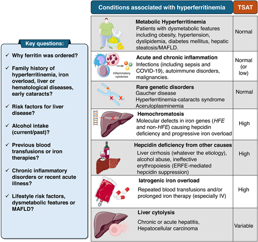 Approach to the patient referred for hyperferritinemia. Most patients do not have IO or hemochromatosis. The differential diagnosis relies on clinical history and TSAT measurement. The most common cause in clinical practice is (MHF, reviewed in Valenti et al20), typically with normal TSAT, frequently observed in individuals with 1 or more dysmetabolic features.