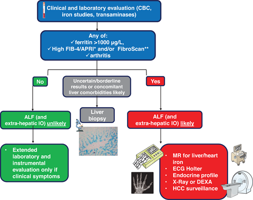 Hemochromatosis staging. Predicting the presence of ALF is important since it increases the risk of HCC and requires adequate surveillance. Noninvasive tools include APRI (aspartate aminotransferase-to-platelet ratio index) and FIB-4 (patient age, platelet count, aspartate aminotransferase, and alanine aminotransferase) scores, and FibroScan (measuring liver stiffness through transient elastography).4,8,23 A liver biopsy is rarely performed in uncertain cases. Extrahepatic complications should be properly investigated in patients with ascertained or likely ALF. The endocrine profile should include follicle-stimulating hormone (FSH), luteinizing hormone (LH), testosterone, or estrogens, looking at possible hypogonadotropic hypogonadism, especially in juvenile forms. CBC, complete blood count; DEXA, dual-energy X-ray absorptiometry, measuring bone mineral density; ECG, electrocardiogram.