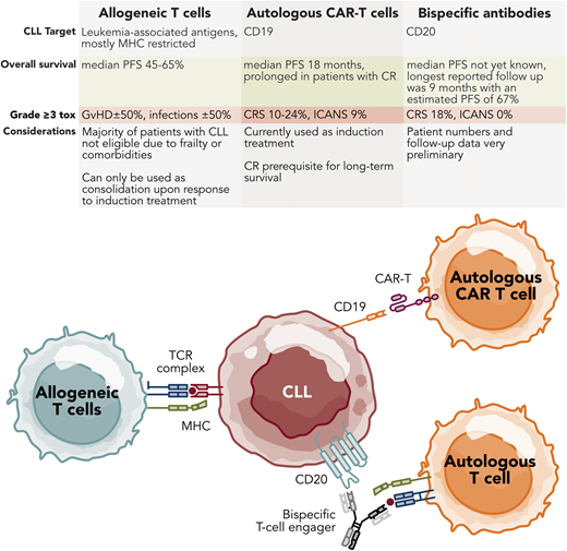 Autologous T-cell-based therapies for CLL. Professional illustration by Somersault18.24.