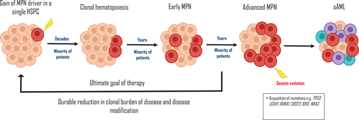 The life history of MPNs. The gain of an MPN-driver mutation in a hematopoietic stem cell (HSPC) progenitor, such as JAK2-p.V617F, may occur as early as during embryogenesis. Over a long period of latency likely measured in decades, clonal hematopoiesis develops. The transition to an MPN ensues in a minority of patients, and subsequent acquisition of deleterious genetic mutations, eg, TP53 during clonal evolution, results in a secondary AML. The ultimate aim of therapy is disease modification, by reducing the clonal burden of disease, ie, using JAK2-p. V617F VAF as a surrogate marker. sAML, secondary acute myeloid leukemia.