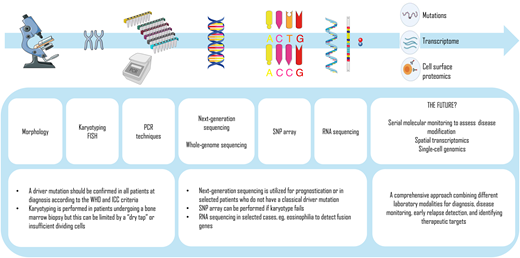Laboratory techniques used for the diagnostics and prognostication of MPNs and the future. FISH, fluorescence in situ hybridization; PCR, polymerase chain reaction; SNP, single nucleotide polymorphism.