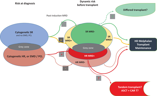 Multiparametric and dynamic criteria to consider the best choice of treatment for TE patients with NDMM. ASCT, autologous stem cell transplantaon; CAR T, chimeric antigen receptor; EMD, extramedullary disease; HD, high dose; HR, high risk; MRD, minimal residual disease; PCL, plasma cell leukemia; SR, standard risk.